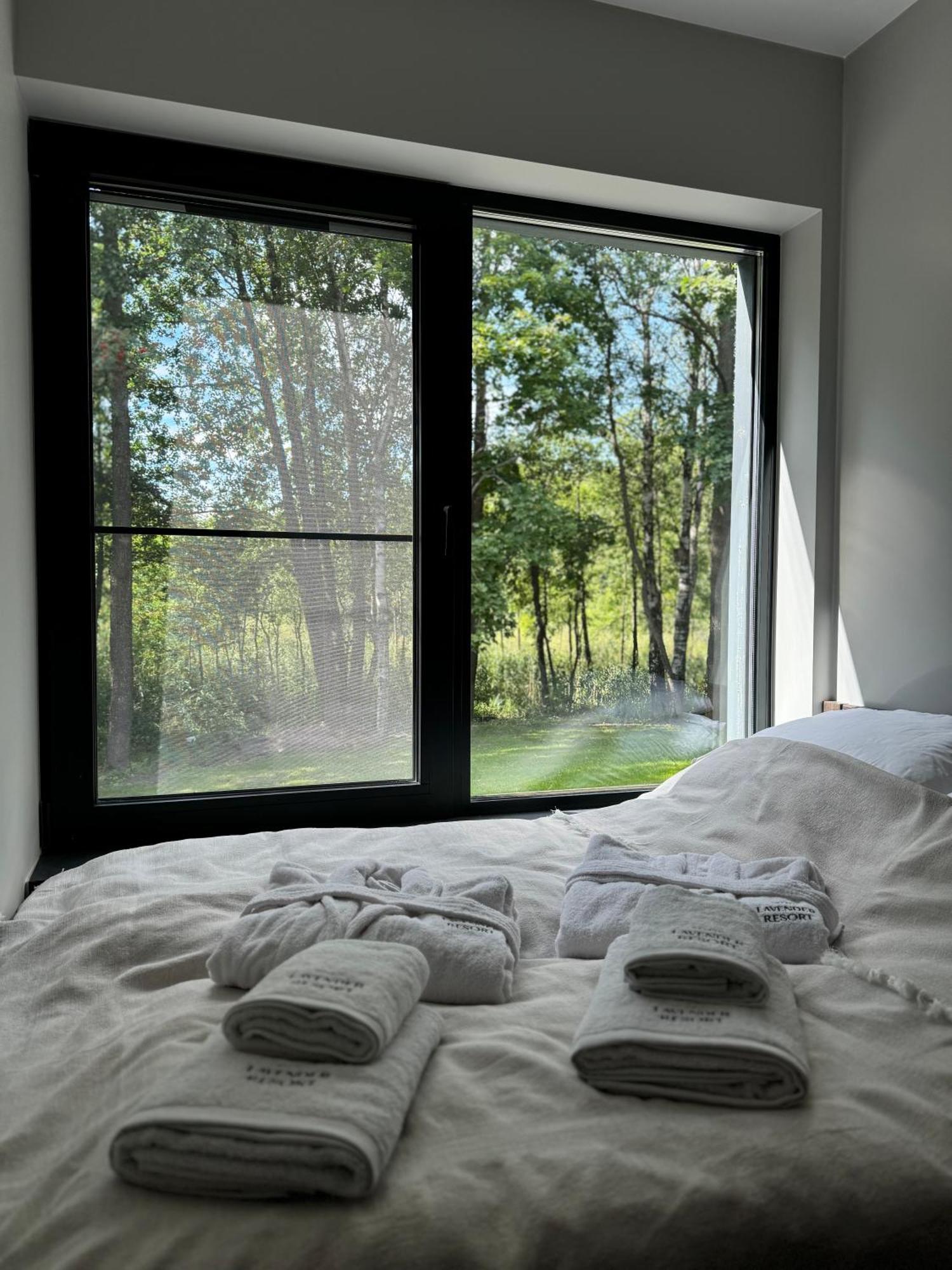 Lavender Apartment Moletai